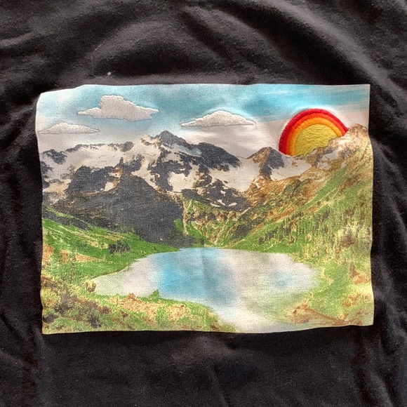 Levi’s Oversized Embroidered Cropped Graphic Tee - Picture 2 of 3